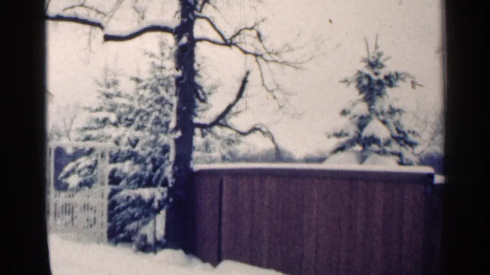 1964 Minnesota winter frame with a brown backyard fence, snow-laden evergreens, bare branches, and a lighter fence section at left.