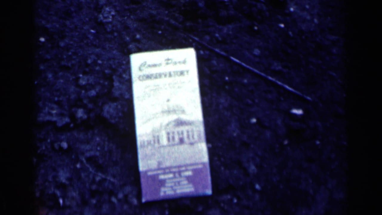 Como Park Conservatory brochure lying on dark pavement.