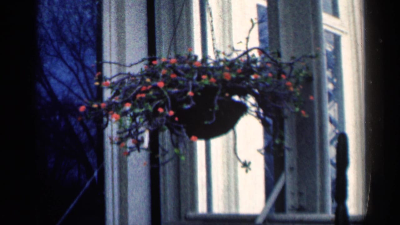 1964 Minnesota 8mm frame showing a hanging planter with red flowers near a porch window and bare branches in blue evening light.