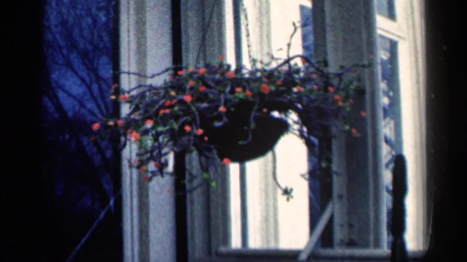 1964 Minnesota 8mm frame showing a hanging planter with red flowers near a porch window and bare branches in blue evening light.