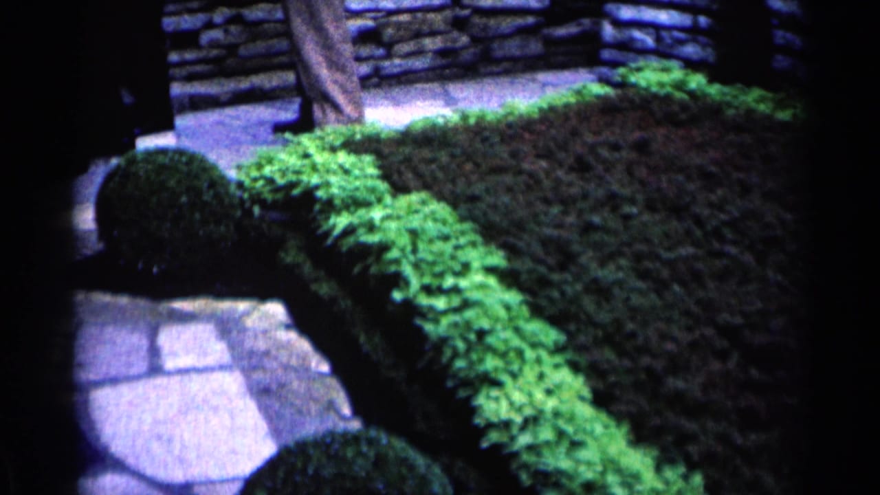 1964 Minnesota garden view with stone paving, clipped hedges, rounded shrub, and a partial passerby at the top edge.
