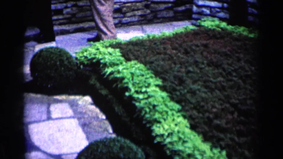 1964 Minnesota 8mm frame of a manicured front-yard walkway bordered by hedges and rounded shrubs.