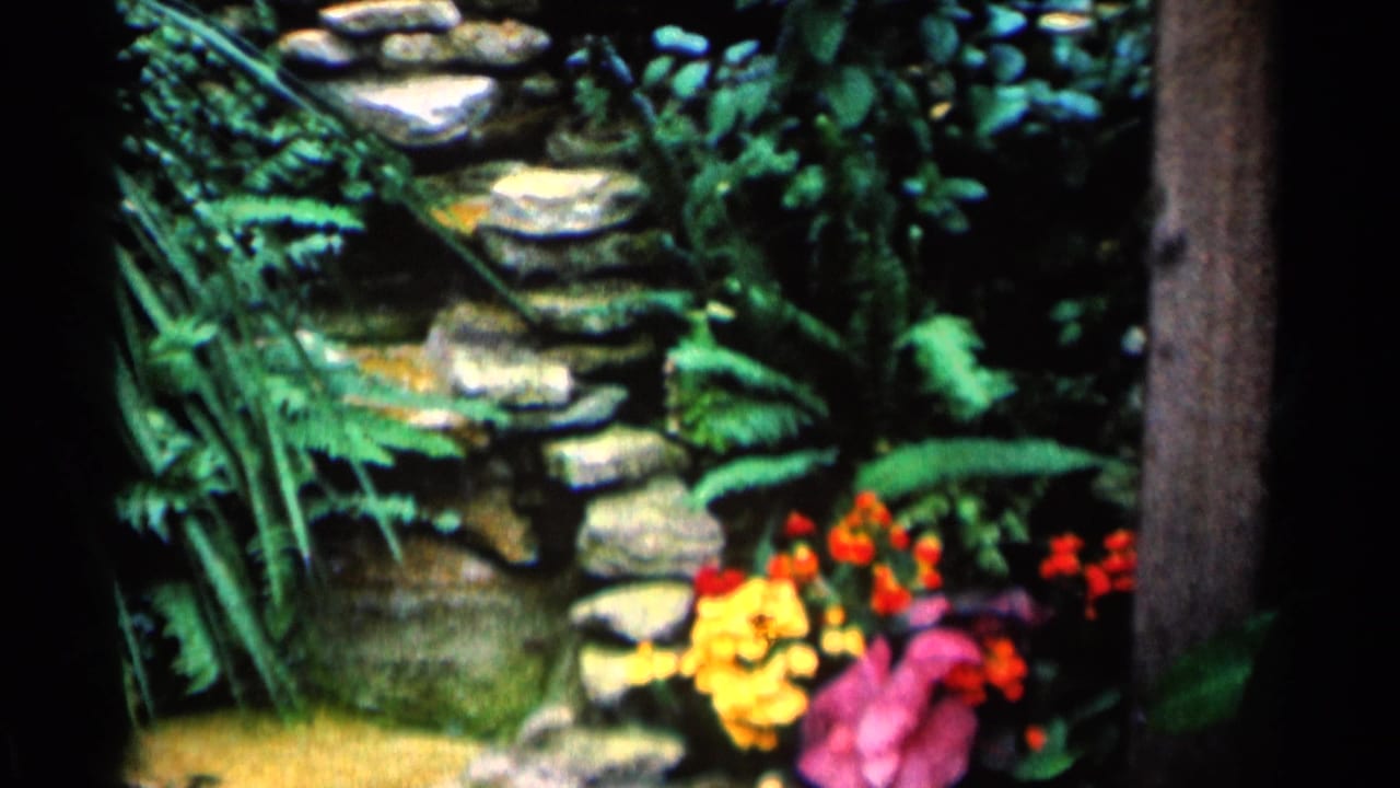 Stacked stone garden stairs surrounded by ferns and colorful flowers.