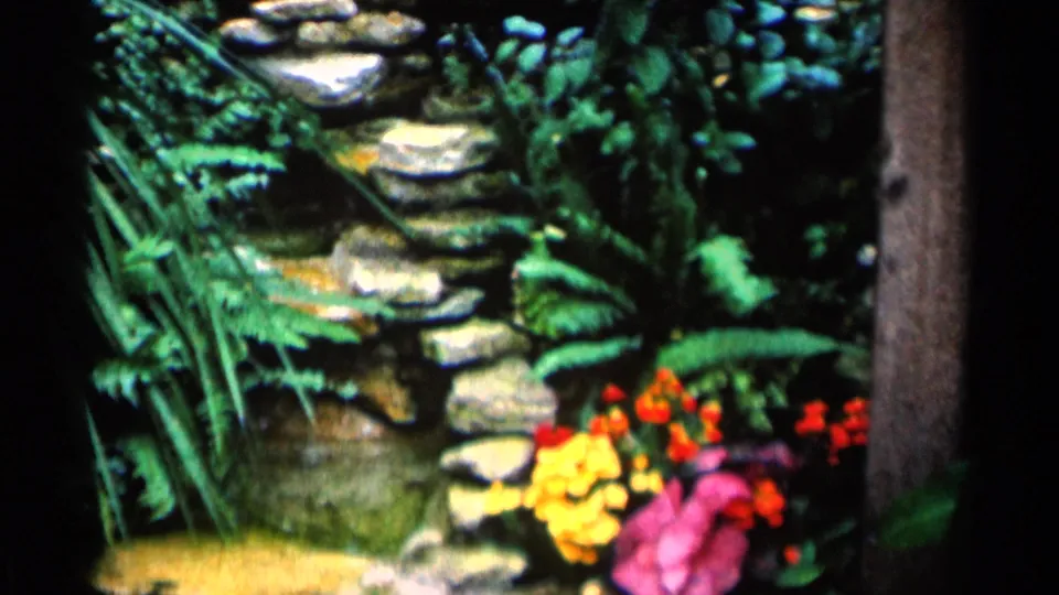 1964 Minnesota 8mm frame showing stacked stone steps, surrounding ferns, bright flowers, and a vertical wooden post.