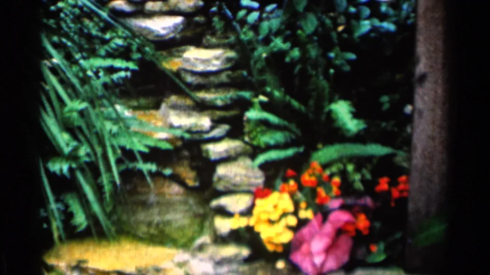 1964 Minnesota 8mm frame with stone garden steps, leafy ferns, yellow and pink blooms, and a wooden post at right.