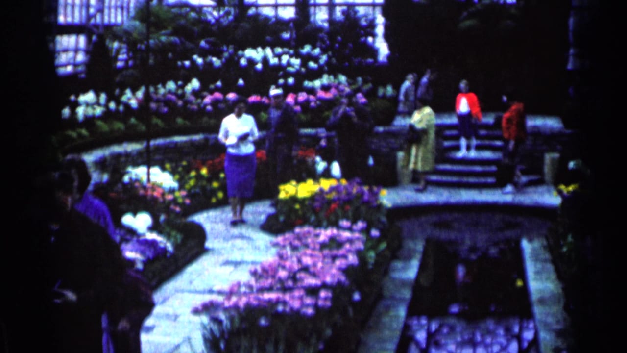 People stand and walk near steps in a flower-filled sunken garden.