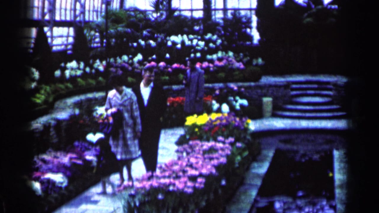 A woman and man stand on a greenhouse walkway near rows of flowers.