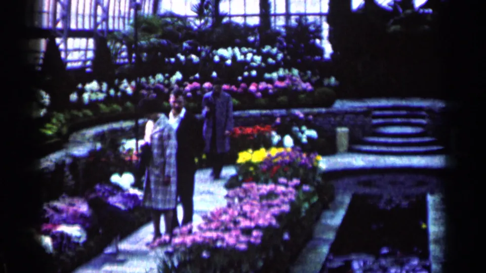 A woman in a patterned garment and a man in dark clothing stand near dense blooms, with a third adult figure partly visible in the greenhouse background.