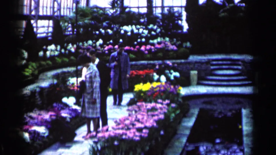 Near the end of the clip, the man moves along the stone path while the woman remains beside the colorful greenhouse planting beds.