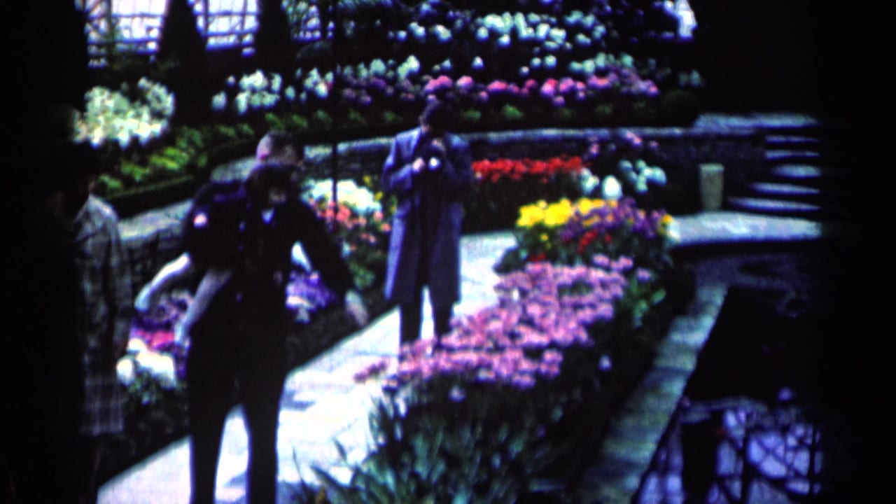 Adult visitors in coats and dresses pause beside vivid flower displays in a Minnesota indoor garden setting from 1964 home-movie footage.