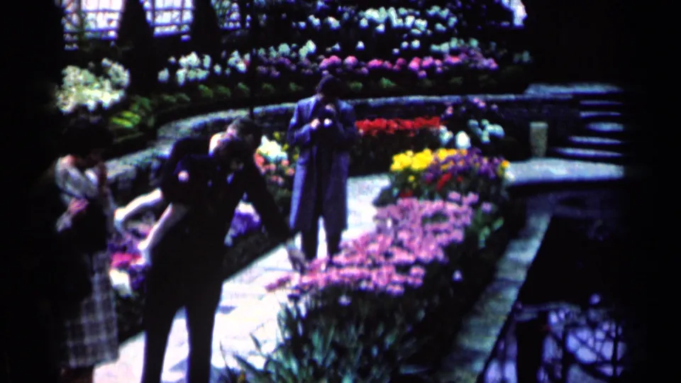 1964 home-movie frame showing adults beside raised flower beds, with saturated blooms and soft 8mm color inside an indoor garden.
