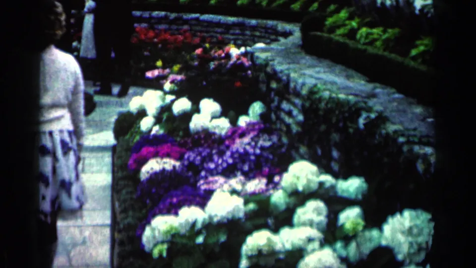 A woman seen from behind stands by curved beds of white, purple, and red flowers in a 1964 Minnesota indoor garden scene.