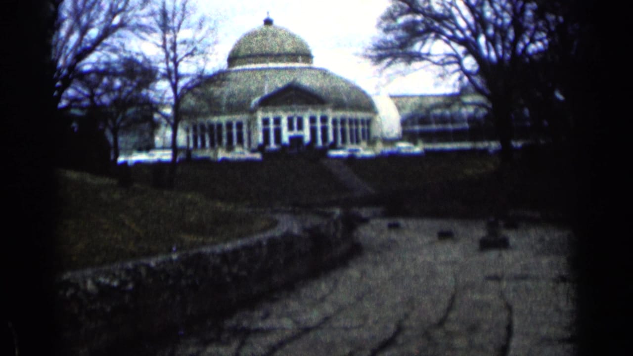 Domed building beyond a stone-lined path with bare trees around it.