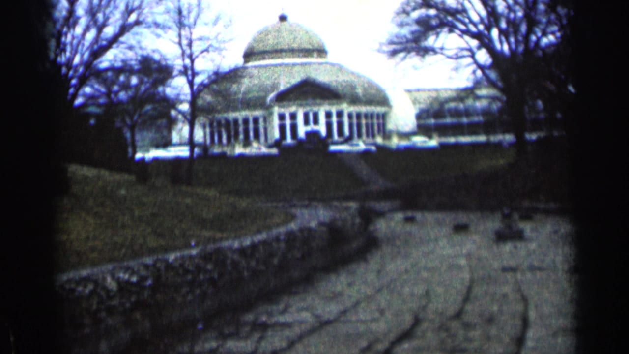 Domed building with columns viewed from a path between dark tree trunks.