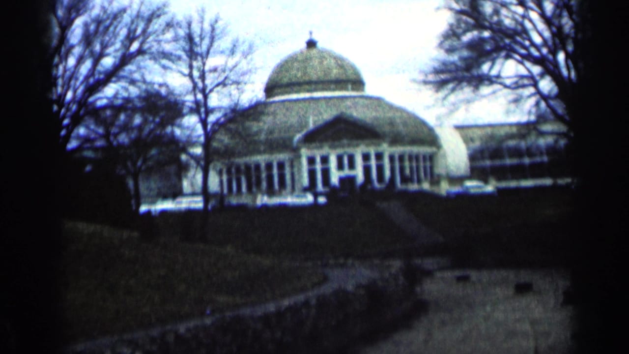 Domed glass-front building seen through bare trees with a dark lawn and walkway in front.