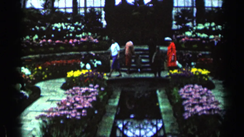 1960s visitors, including a woman in a red coat, move through the conservatory garden beside yellow and purple flowers.