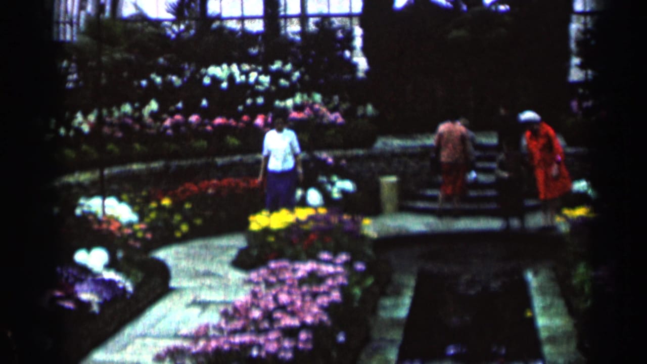 Visitors walking through a flower garden with stone paths and colorful beds.