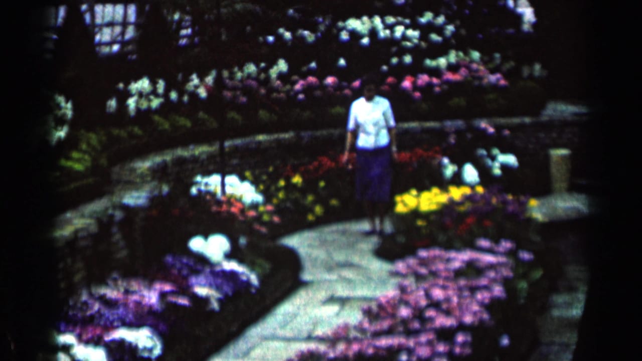 Woman in a white blouse stands on a curved path among flower beds.