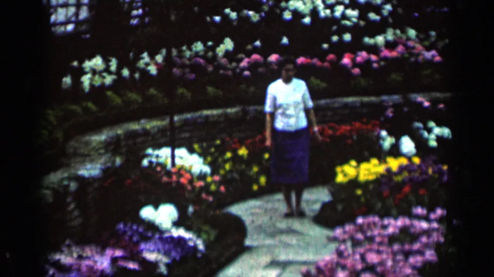 1964 Minnesota 8mm frame of a woman walking toward the camera on a stone path lined with vivid flower beds.