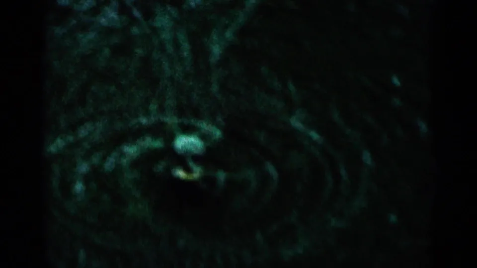 1964 Minnesota 8mm frame showing a dark, green-tinted rotating sprinkler pattern across a grassy lawn.