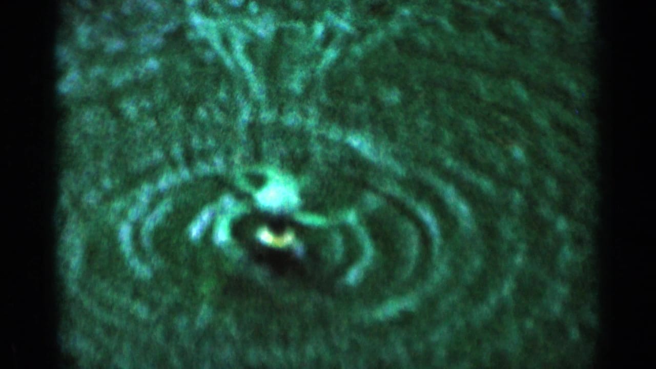 Green sprinkler head and circular water spray on grass.