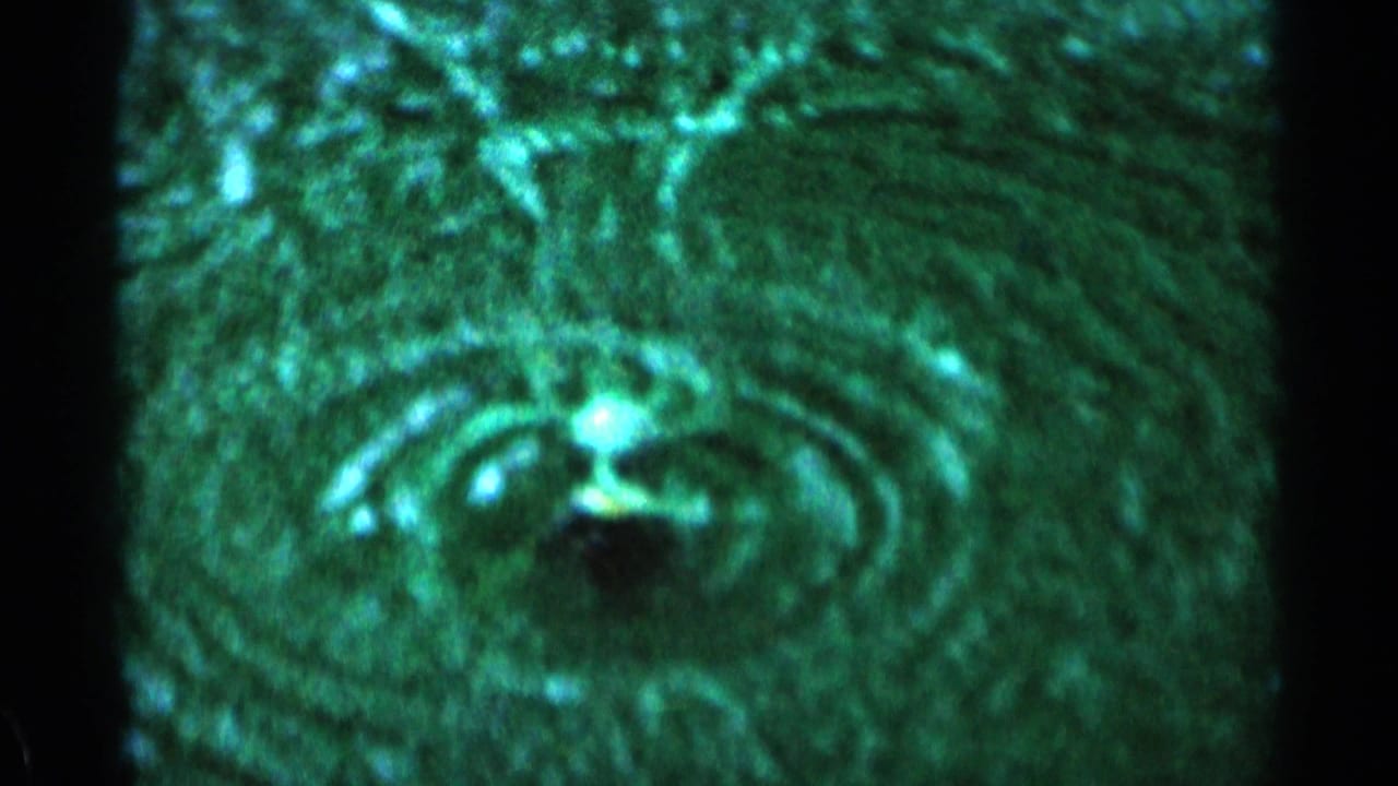 Sprinkler water forms concentric ripples across a green lawn.