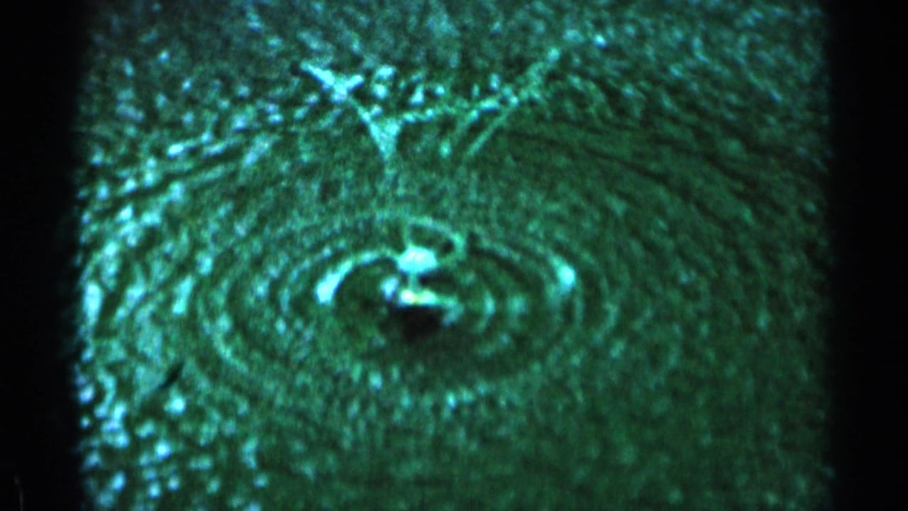 Close view of sprinkler ripples and wet grass.