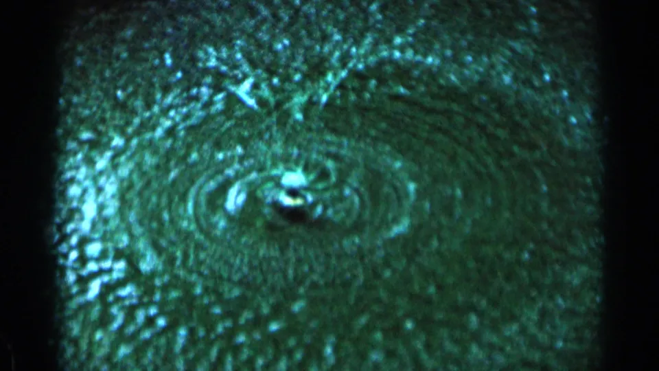 1964 Minnesota home-movie frame showing sprinkler water rings spreading across dark green grass with visible 8mm grain.