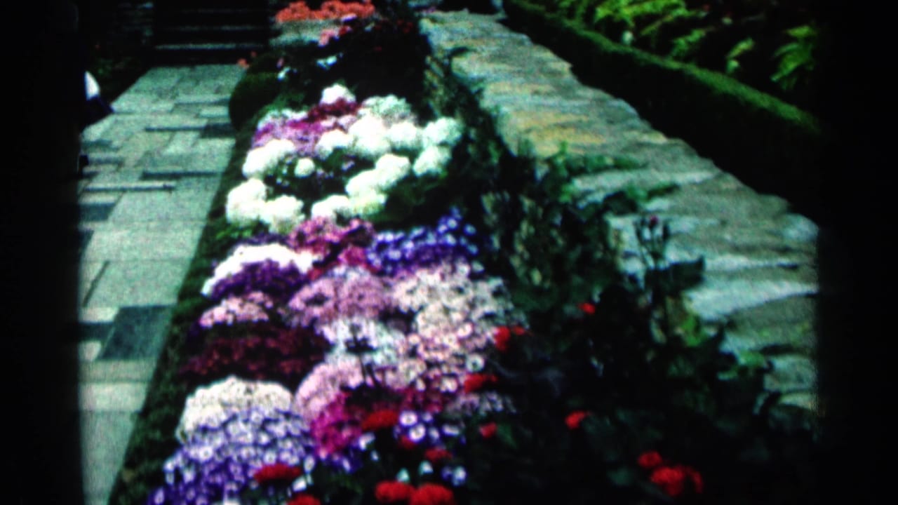 Colorful flower beds beside a stone border and paved walkway.