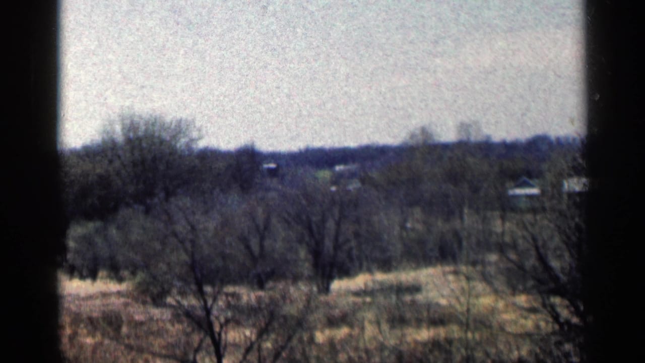 Bare trees and distant structures beyond a grassy landscape under a pale sky.