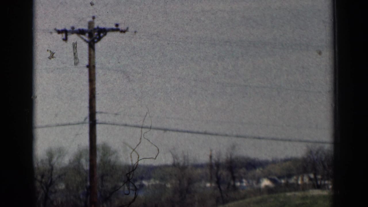 Wooden utility pole and overhead wire against a grey sky with bare trees and distant houses.