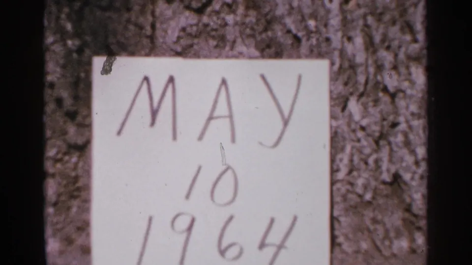 Minnesota 1964 8mm frame with a handwritten date card reading MAY 10 1964 attached to a tree.
