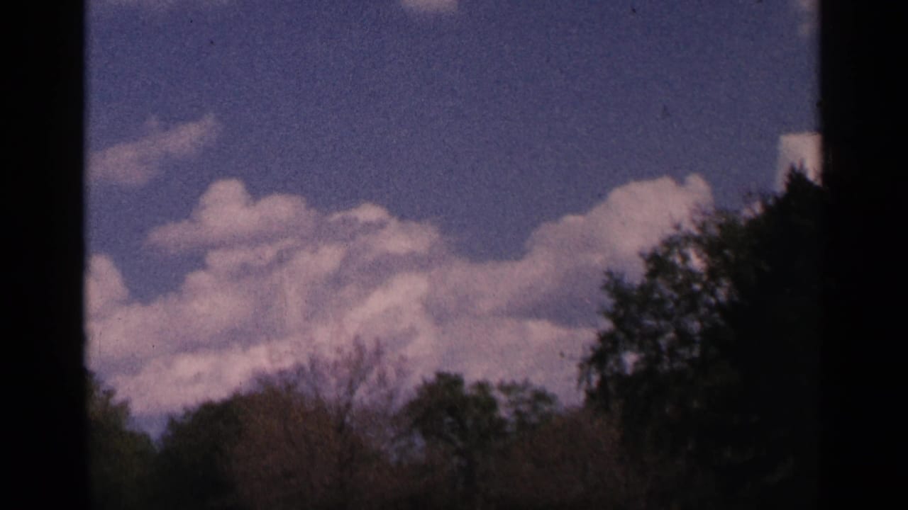Blue sky with white clouds above dark treetops and bare branches.