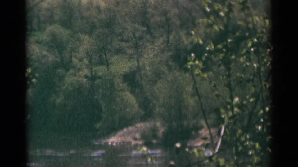 1964 Minnesota 8mm frame of a wooded river edge, with brush, shallow water, and soft handheld focus through leaves.