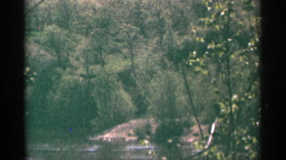 1964 Minnesota 8mm frame with dense green trees, a sloped riverbank, and water partly obscured by foreground leaves.