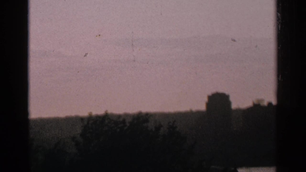Hazy lakeside horizon with dark trees and a distant building silhouette under a pink sky.
