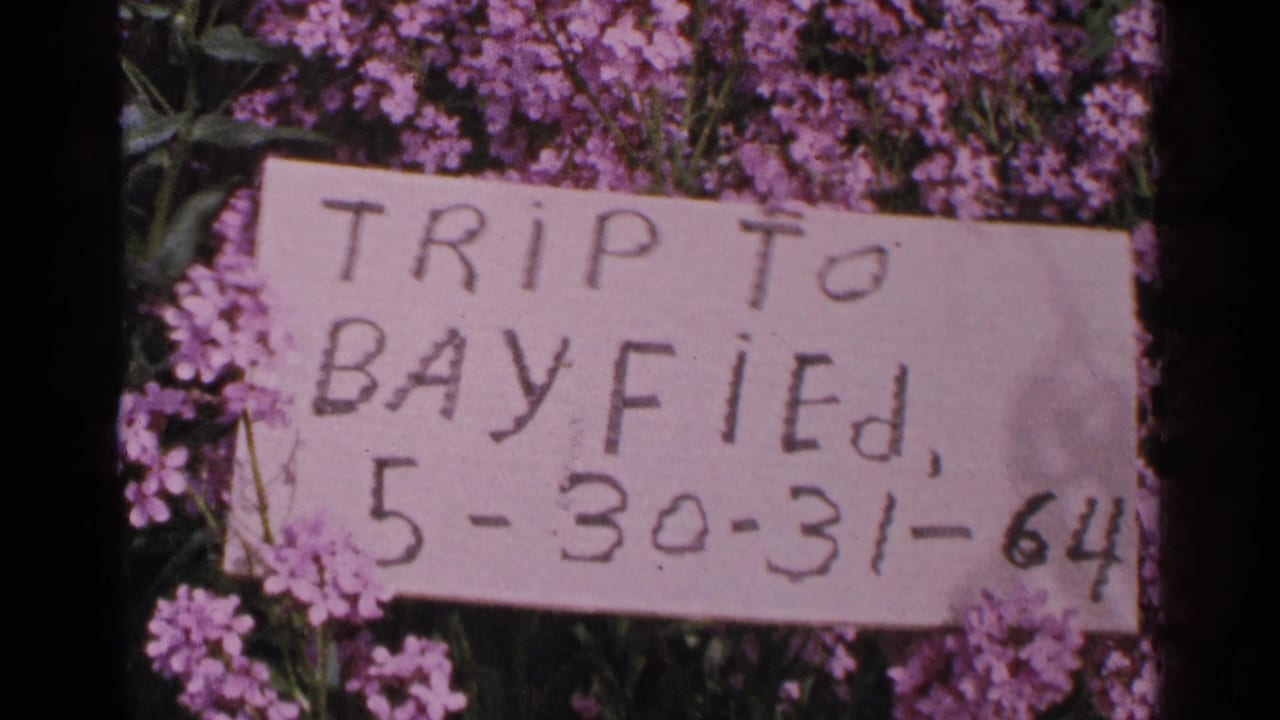 8mm frame of the Bayfield trip title card, partially cropped, with purple blossoms and foliage around it.