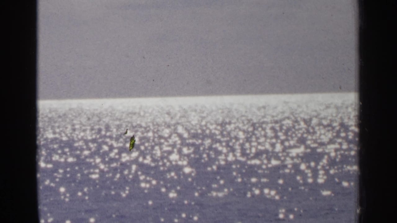 Sunlight glitters across calm rippling water with a dark film edge at left.