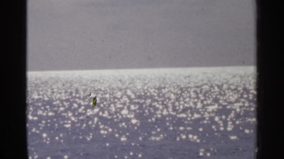 1964 8mm frame showing sun-dappled calm water, soft focus, and visible film-frame edges during a park visit.