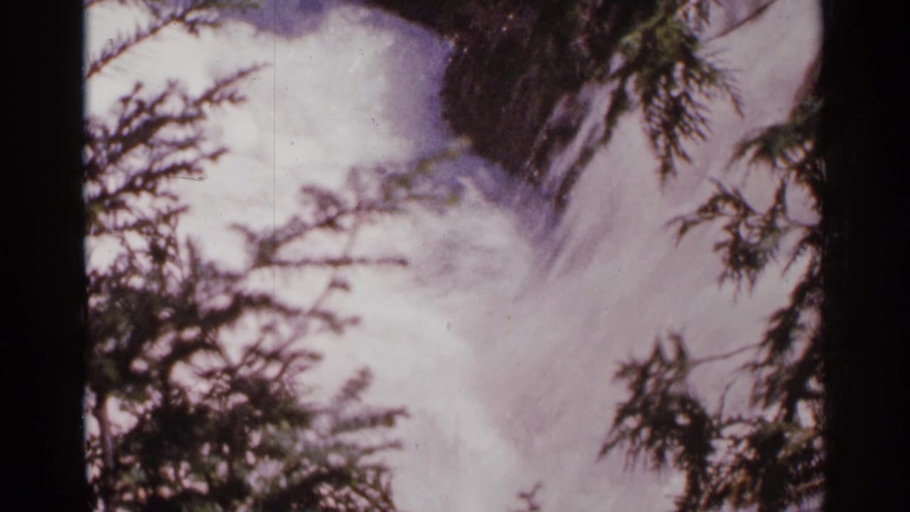 Supplied 1964 Minnesota 8mm frame showing rushing water partly obscured by evergreen branches.