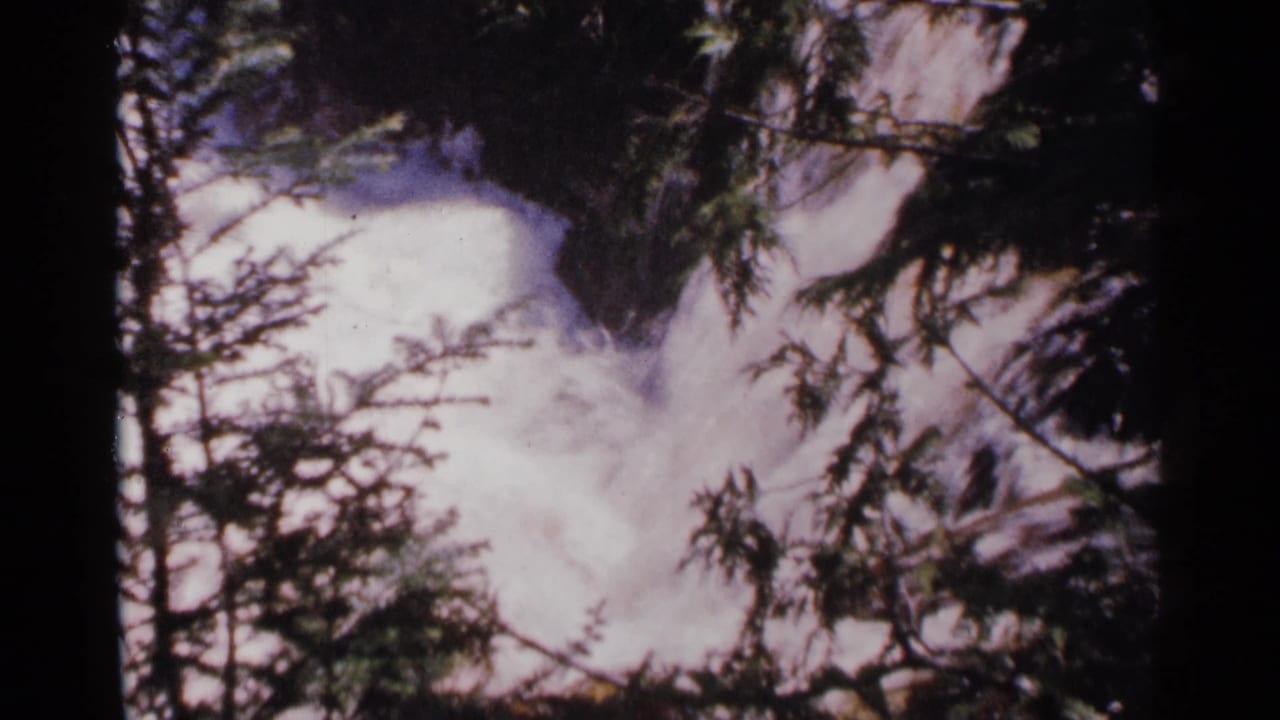 Supplied 1964 Minnesota 8mm frame of a cascade framed by evergreen branches and dark rock.