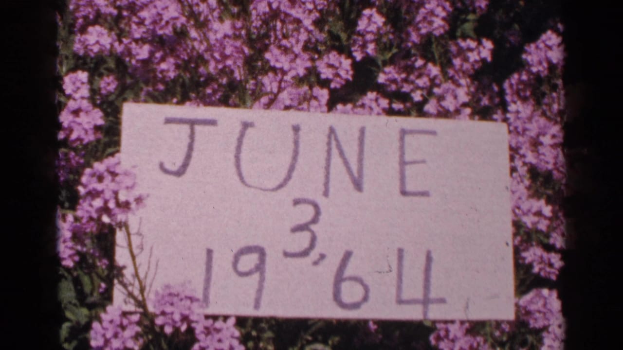 Handwritten date card reading June 3, 1964 placed in front of purple flowers on 8mm film.