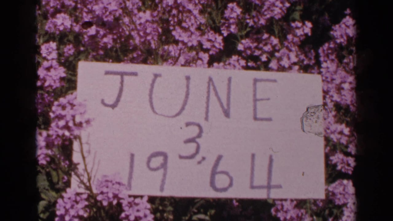 Handwritten June 3, 1964 sign placed among purple flowers.