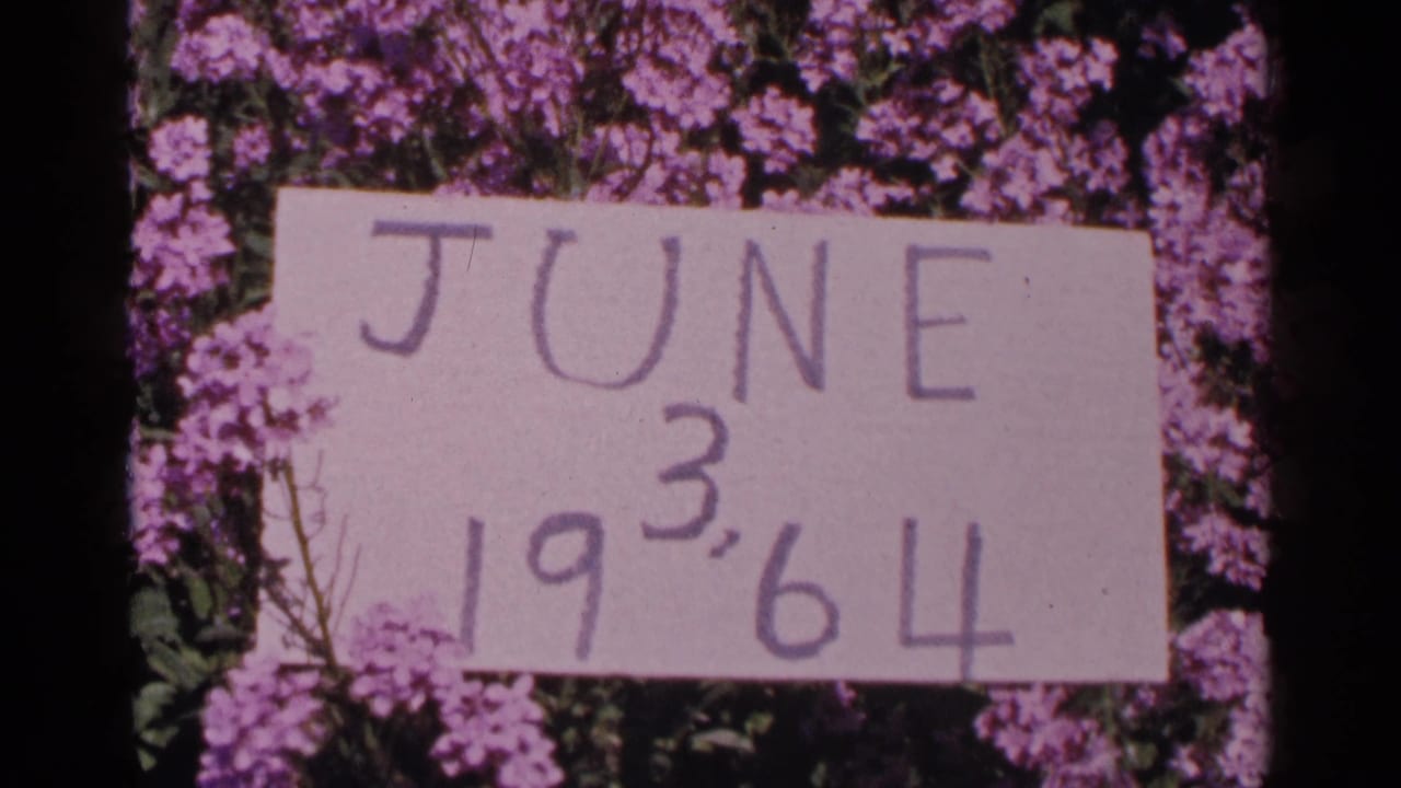 A close view of a handmade June 3, 1964 sign set against flowering shrubs in the dated home-movie sequence.