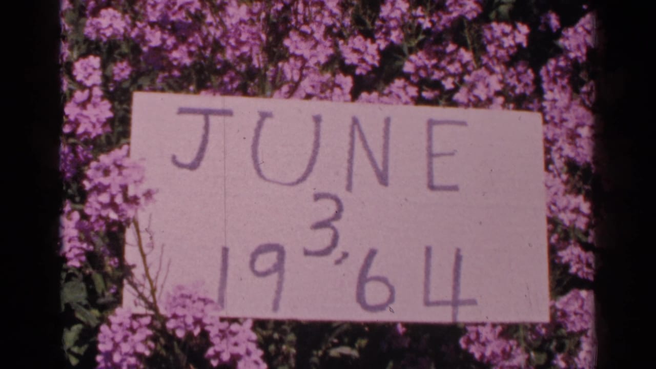 The handmade June 3, 1964 sign appears again among purple flowers, with soft focus and visible 8mm texture.