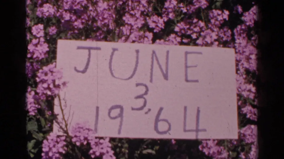 The handmade June 3, 1964 sign appears again among purple flowers, with soft focus and visible 8mm texture.