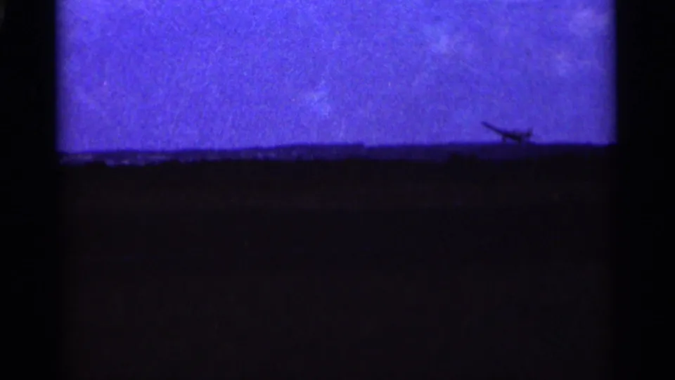 Distant 1964 Minnesota 8mm frame showing a model airplane low near the field horizon beneath a bright blue sky.