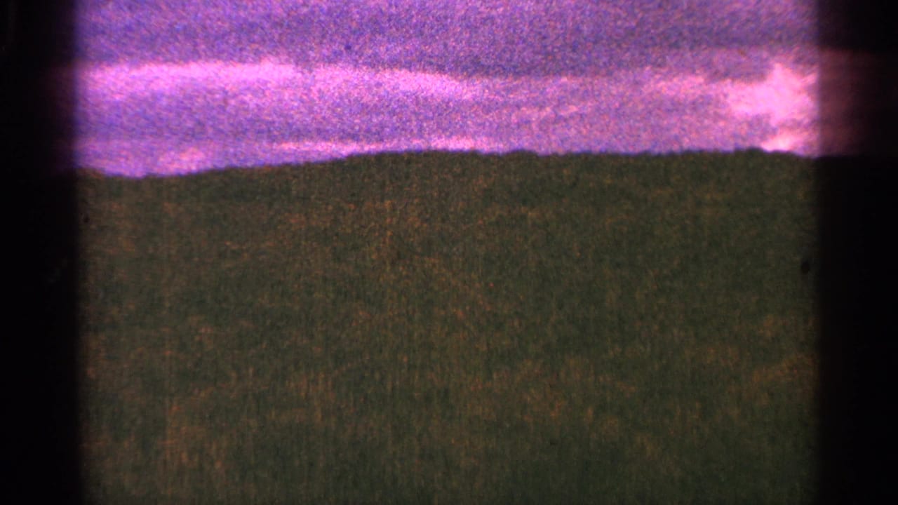 Pink sunset sky above a dark grassy field.