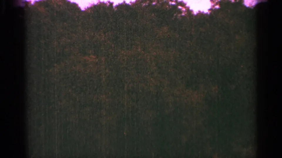 1964 Minnesota 8mm frame with a dark road edge and dense wooded roadside, softened by motion and film grain.
