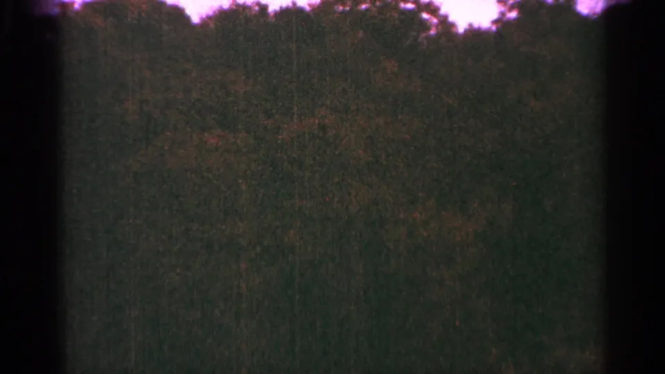 1964 Minnesota 8mm frame showing a dense, dark tree line under a faded purple sky with visible gate shadows.